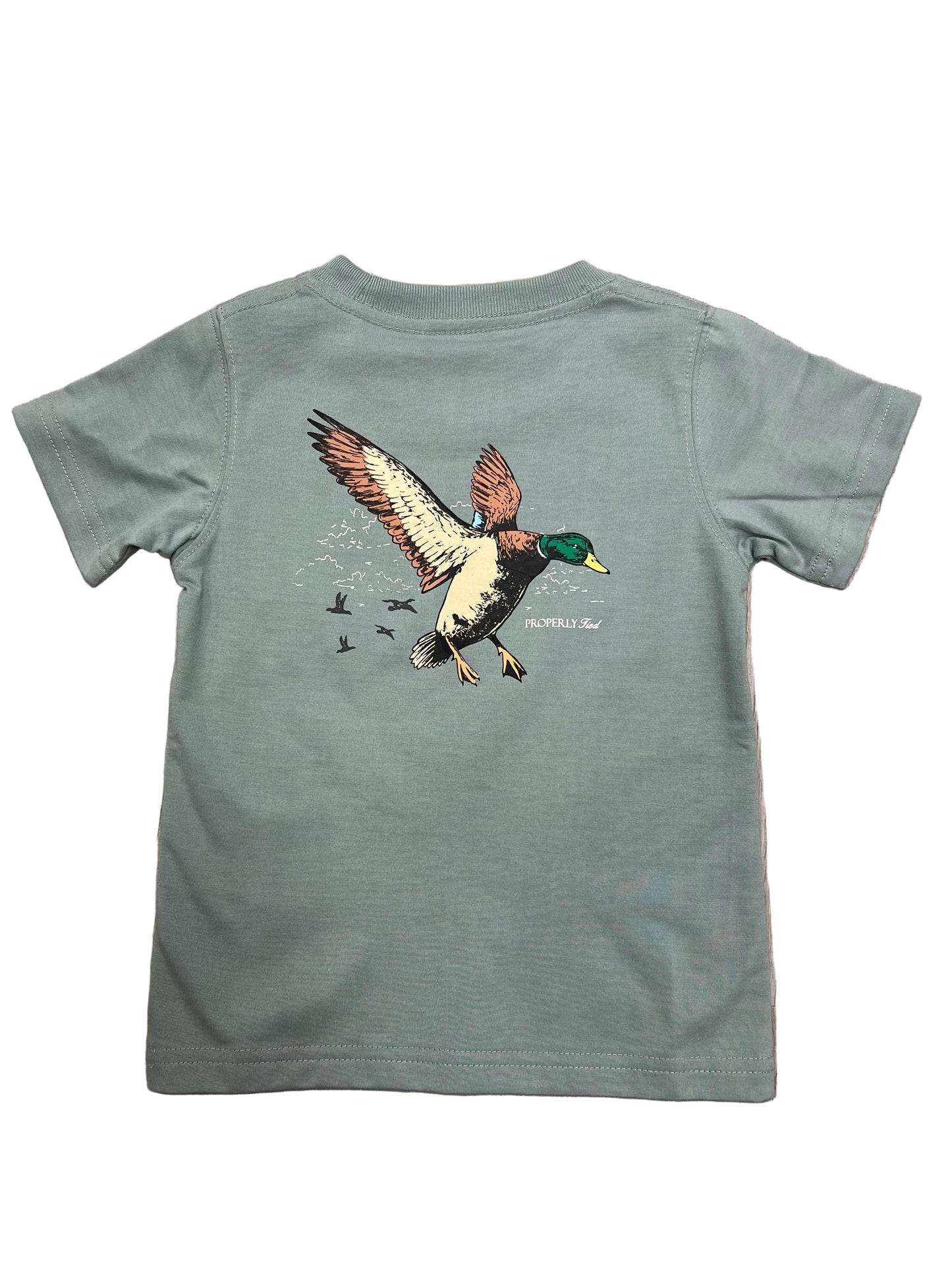 Boys Mallard Flight SS Fog