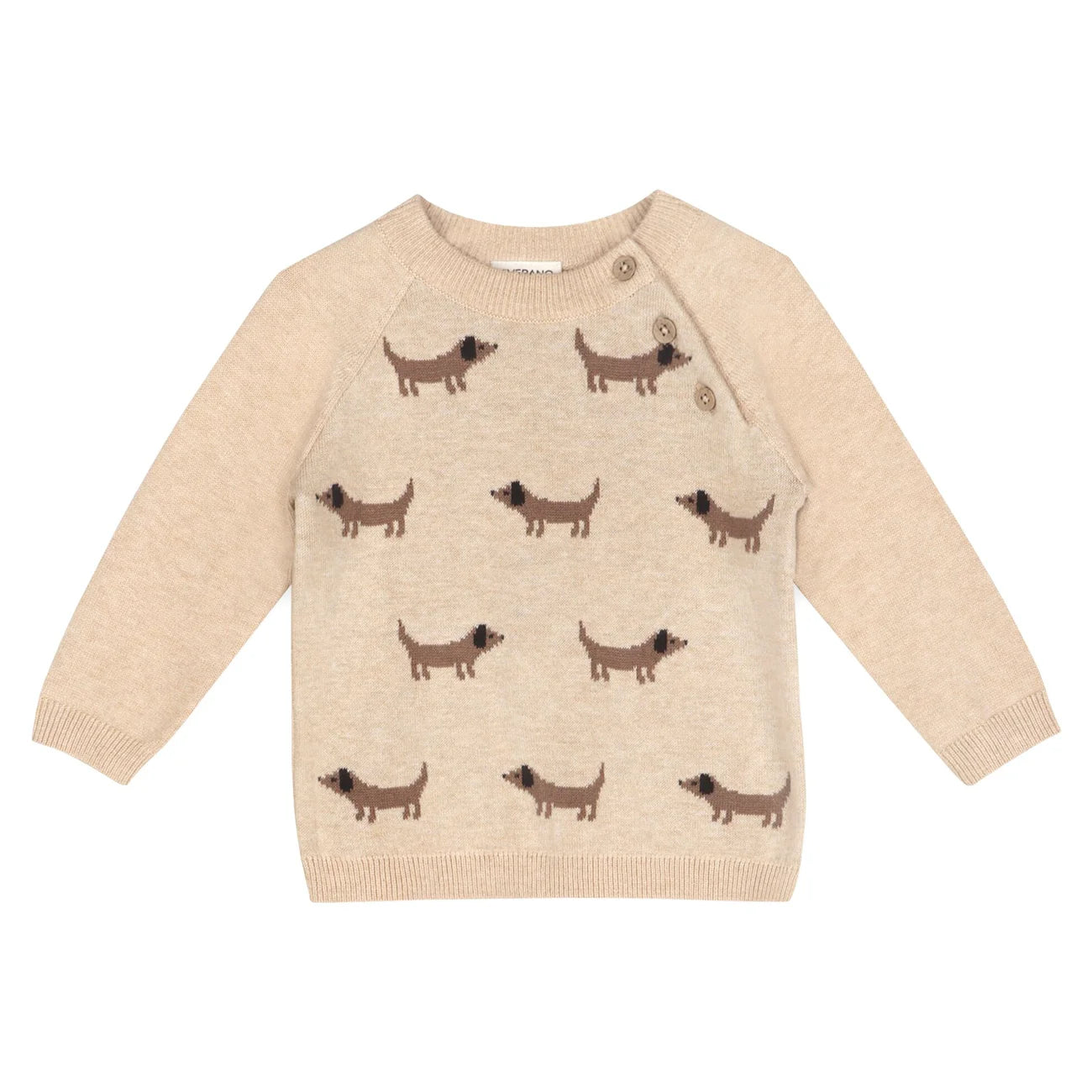 Doxie Dog Jacquard Knit Baby Raglan Pullover Sweater