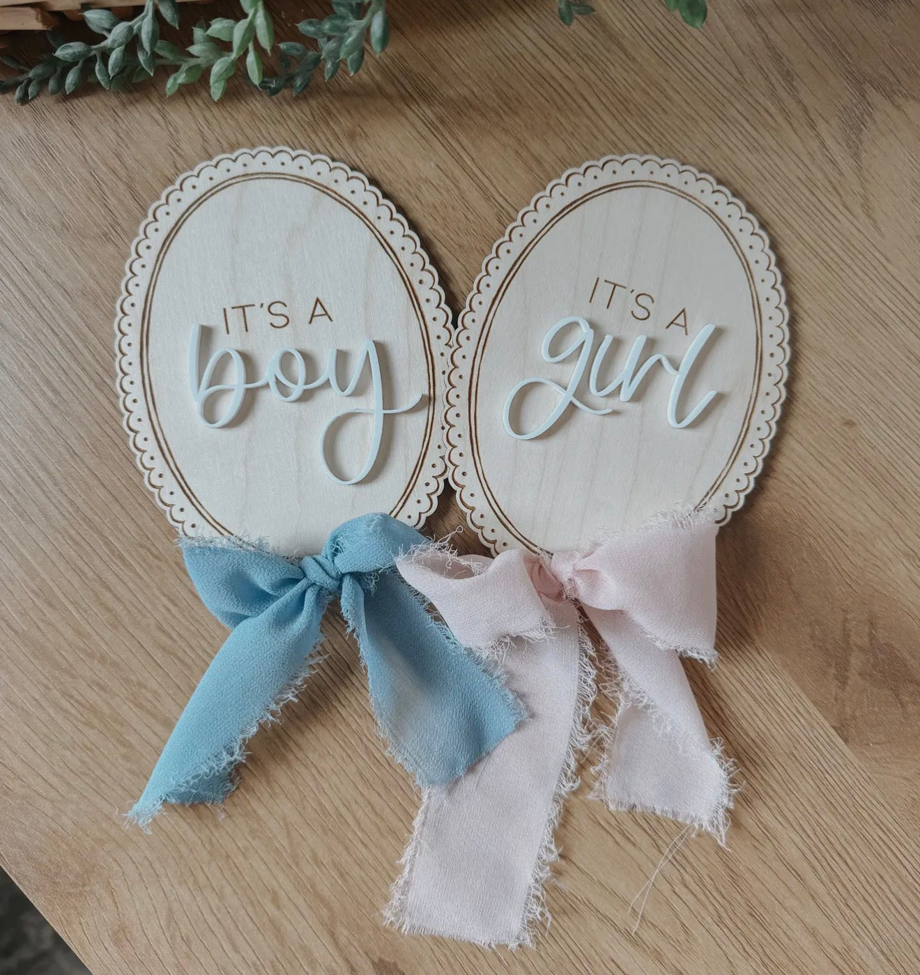 Gender Announcement Sign