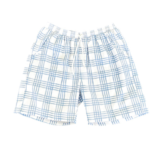 Dapper Blue Plaid Mens Swim Trunks