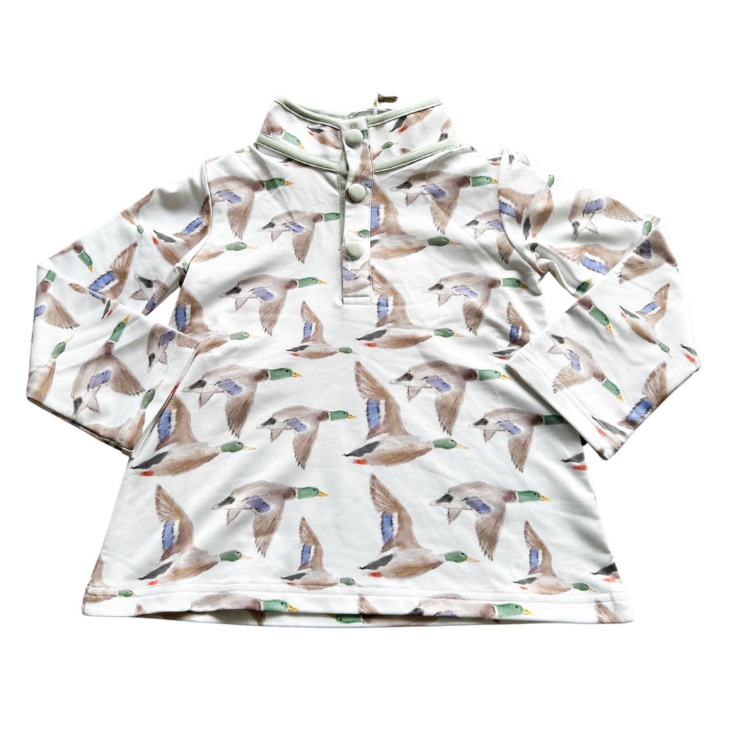Flyin' South Pullover
