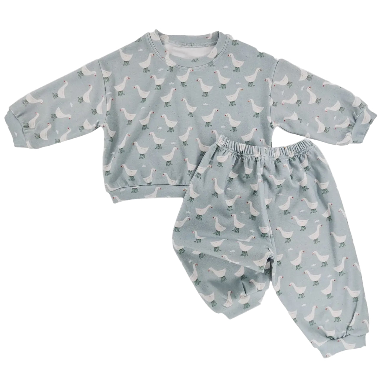 Splash Goose Sweatsuit