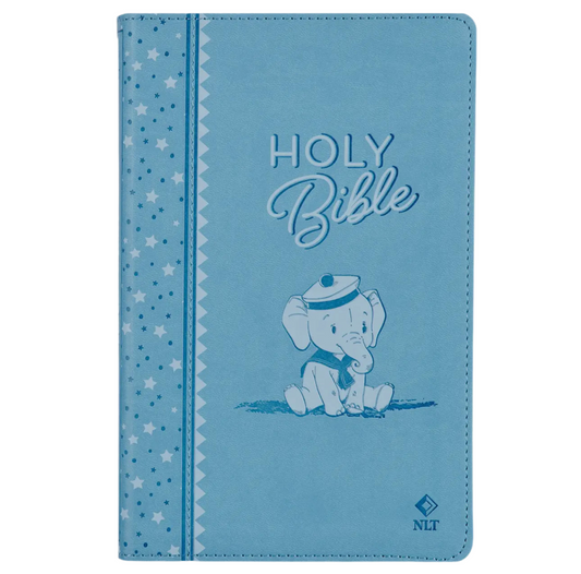 Baby Boy Bible