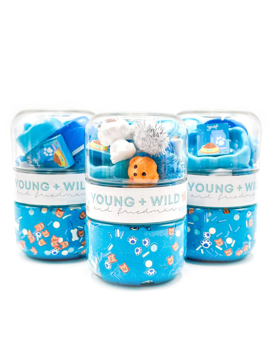 Grab & Go Dough Jar- Blue Pet