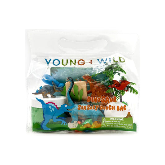 Sensory Dough Bag- Dinosaur
